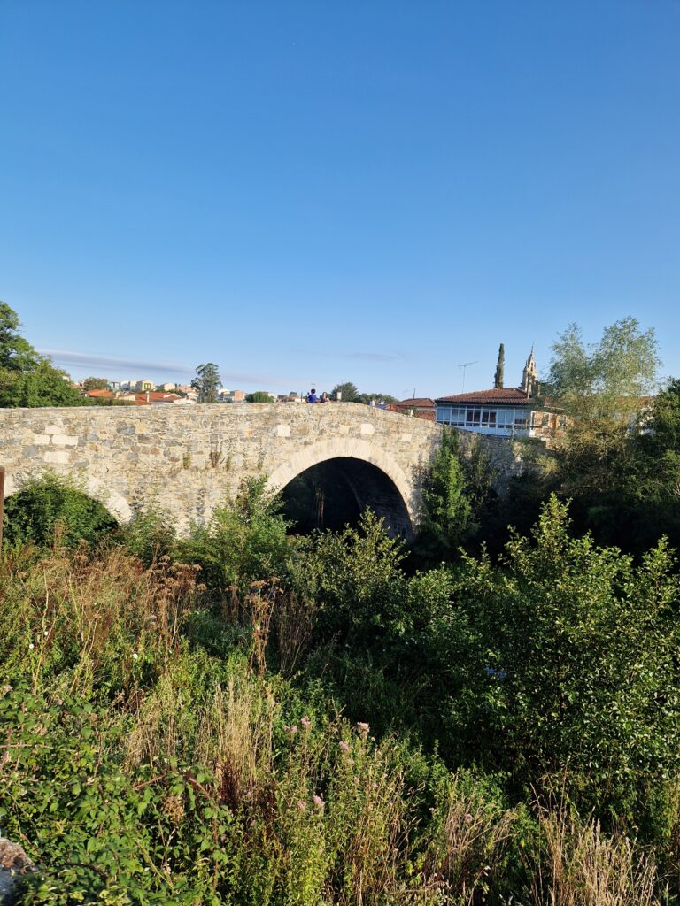 Un puente de piedra en el Camino de Santiago. Etapas del Camino de Santiago con perro