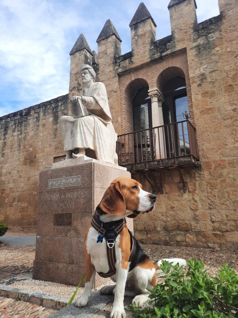Otto en una estatua, relajado